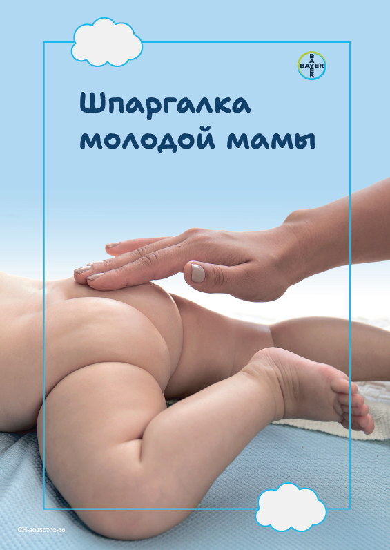Шпаргалка